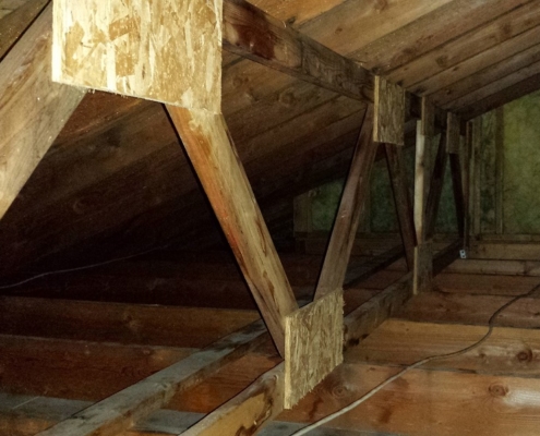 Mold In Attic